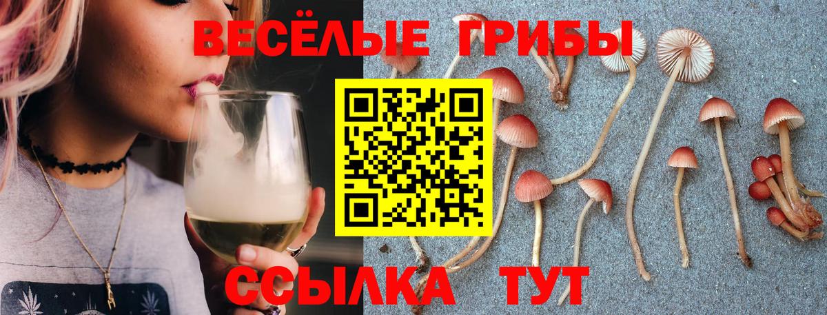 Псилоцибиновые грибы Magic Shrooms  Галлюциногенные грибы Psilocybe  Гурьевск  Вход с VPN 